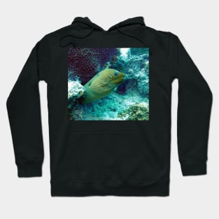 Green Moray Eel Hoodie